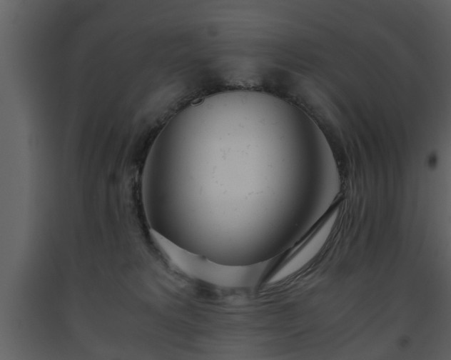 X0000093440229200710191048