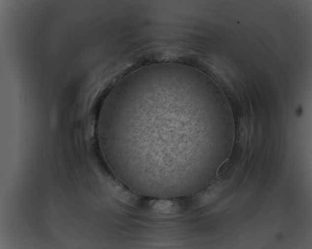 X0000093440230200710191048