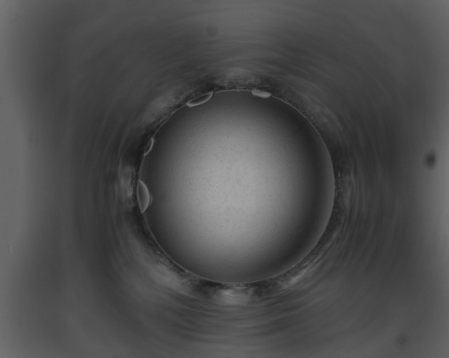 X0000093440232200710191047