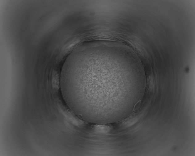 X0000093440234200710191047