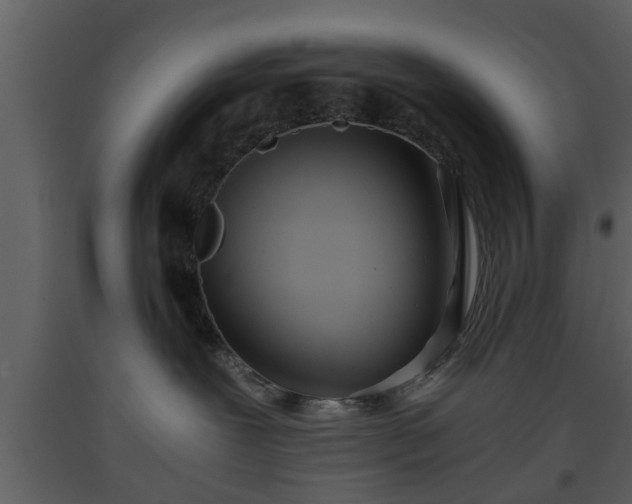 X0000093440239200710191047