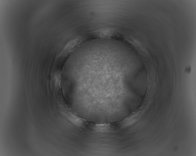 X0000093440240200710191047