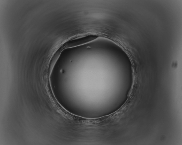 X0000093440241200710191047