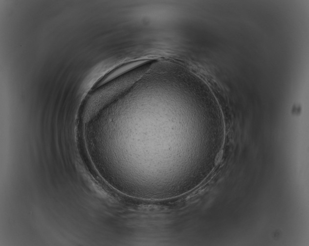 X0000093440242200710191047