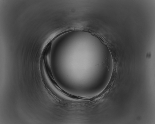 X0000093440244200710191047