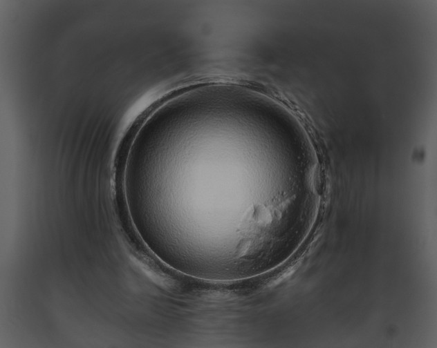 X0000093440246200710191047