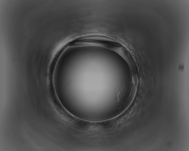 X0000093440248200710191047