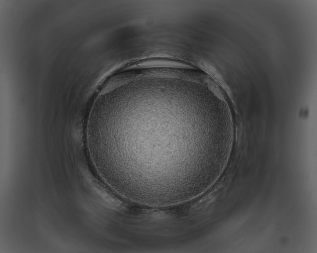 X0000093440249200710191047