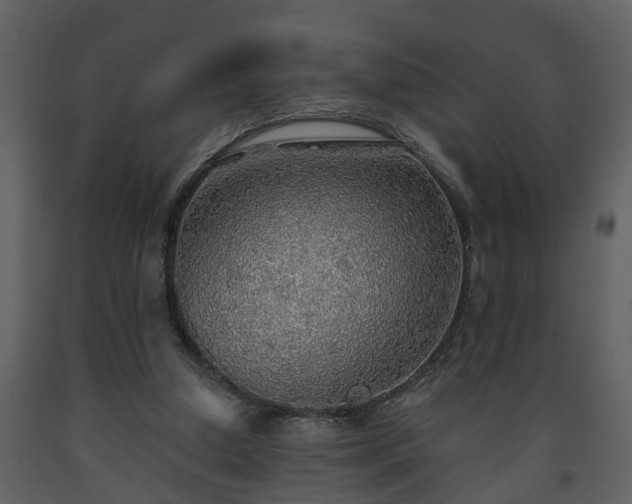 X0000093440250200710191047