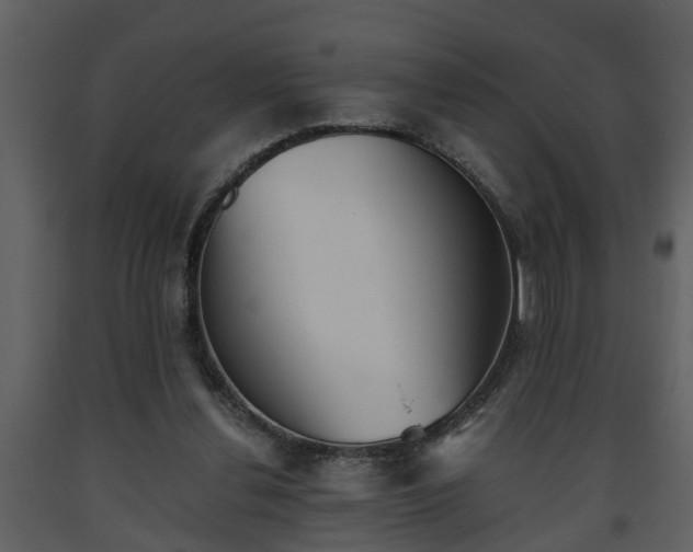 X0000093440252200710191047