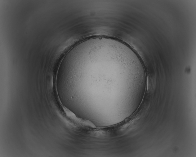 X0000093440253200710191047