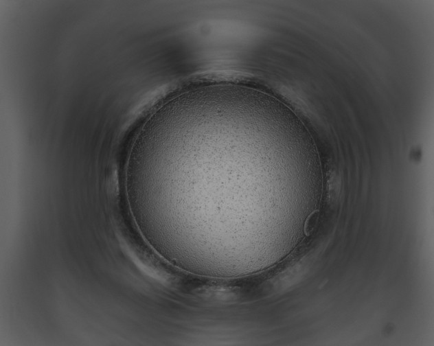 X0000093440254200710191047