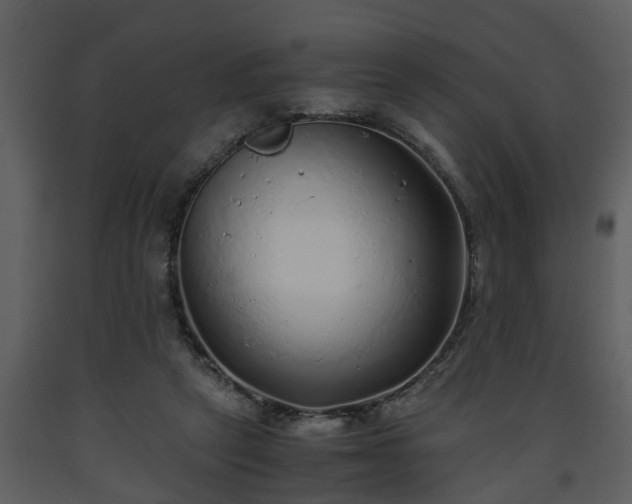 X0000093440257200710191047