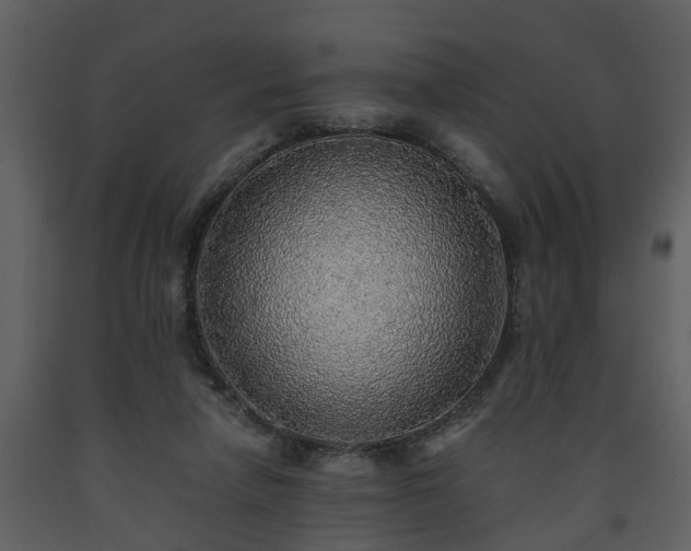 X0000093440258200710191047