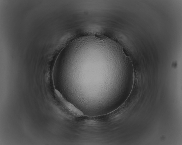 X0000093440259200710191047
