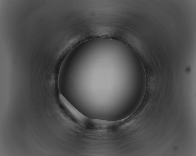 X0000093440260200710191047