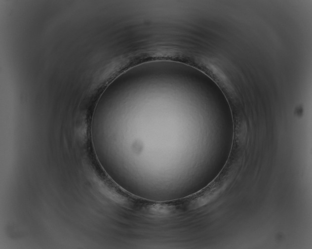 X0000093440261200710191047