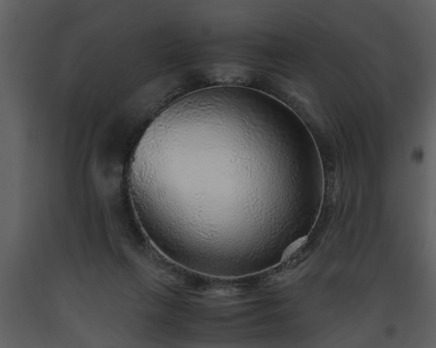 X0000093440263200710191047
