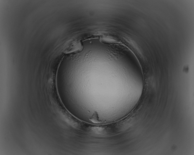 X0000093440265200710191047