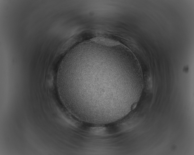 X0000093440266200710191047