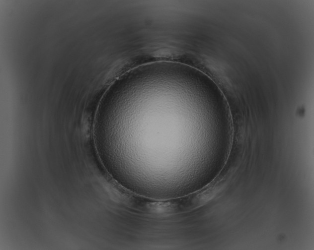 X0000093440273200710191047