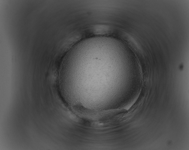 X0000093440277200710191047