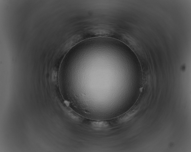 X0000093440281200710191047