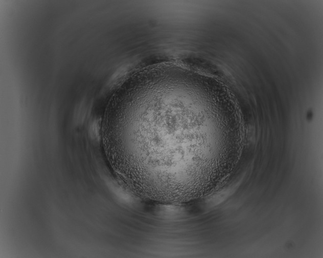 X0000093440286200710191047