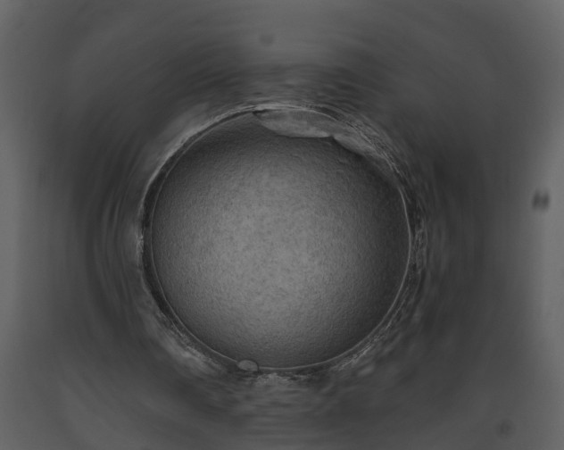 X0000093440290200710191047