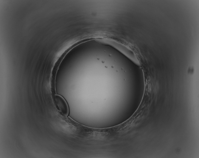 X0000093440292200710191047