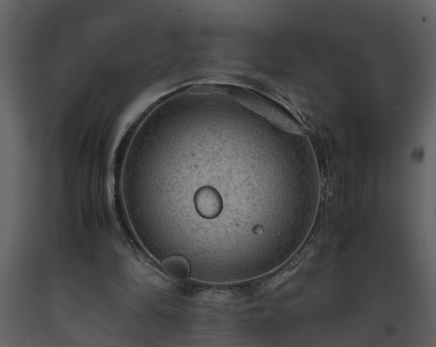X0000093440294200710191047