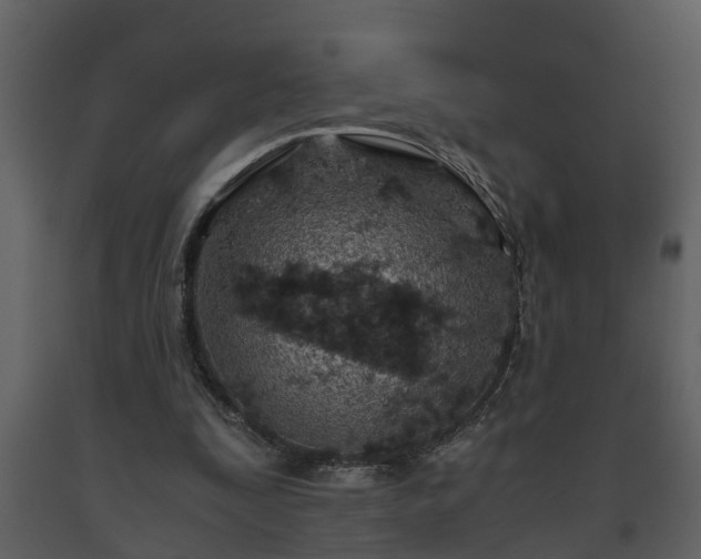 X0000093440295200710191047