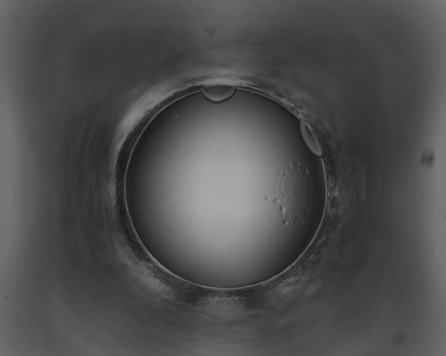 X0000093440296200710191047