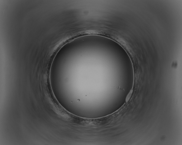 X0000093440297200710191047