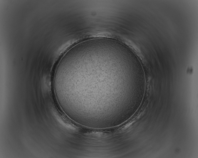 X0000093440298200710191047