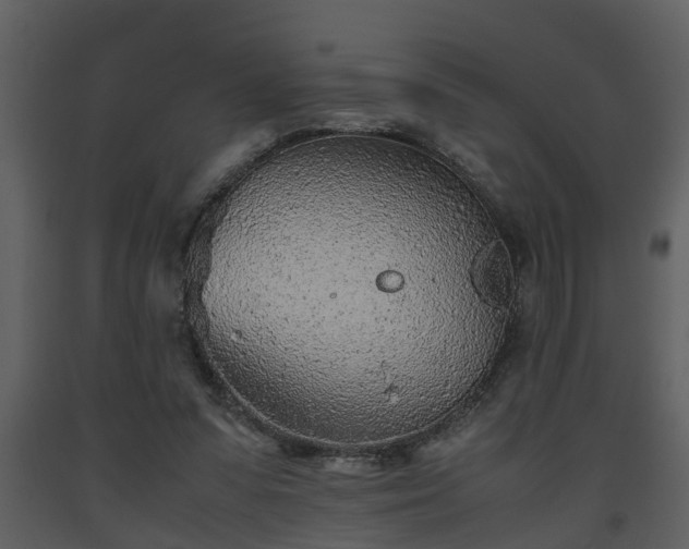 X0000093440303200710191047