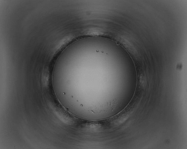 X0000093440304200710191047