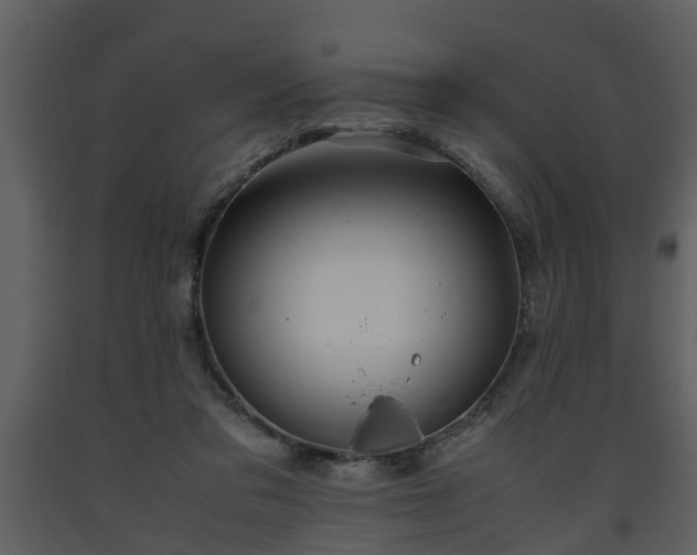 X0000093440309200710191047