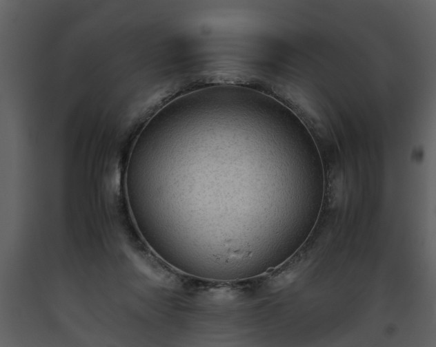 X0000093440310200710191047