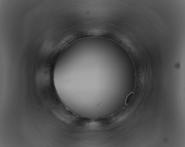 X0000093440312200710191046