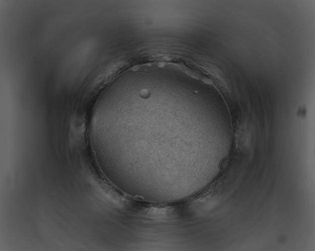 X0000093440314200710191046