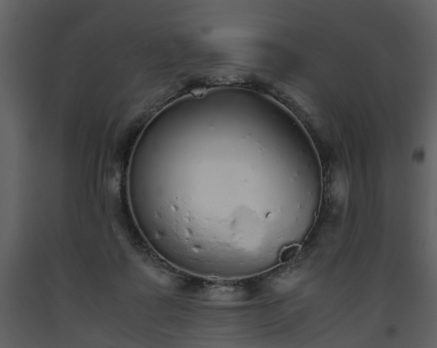 X0000093440315200710191046