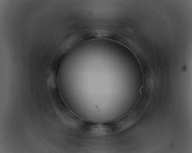 X0000093440316200710191046