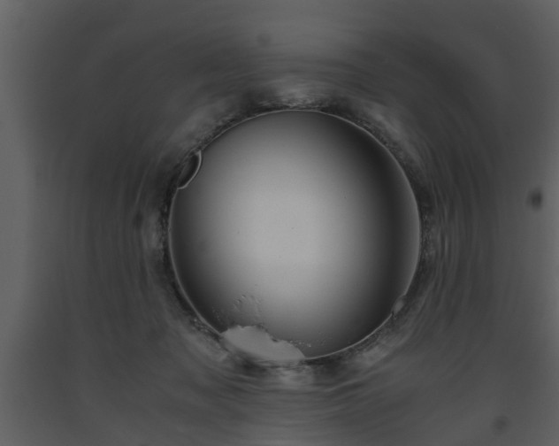 X0000093440317200710191046