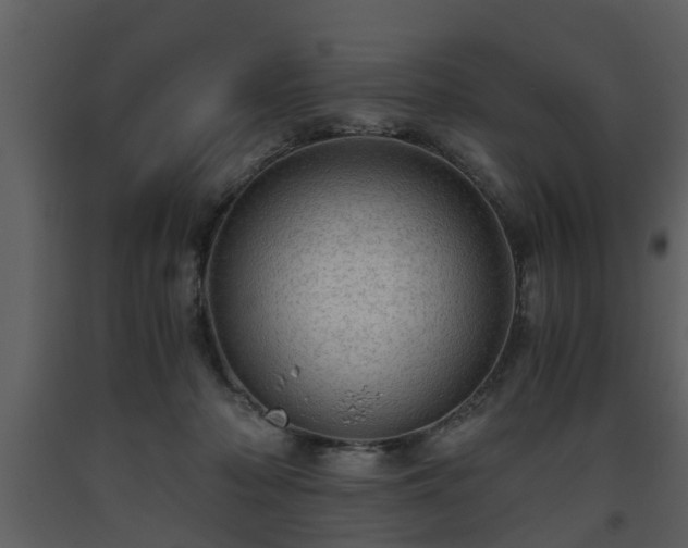 X0000093440318200710191046