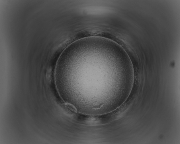 X0000093440319200710191046