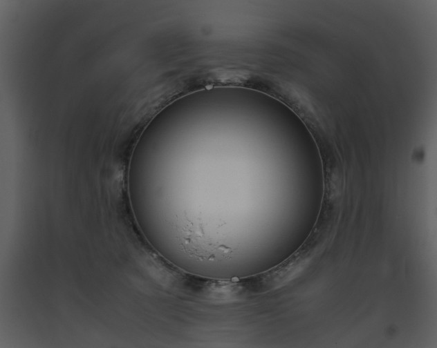 X0000093440321200710191046
