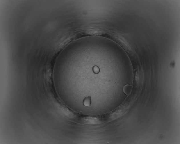 X0000093440322200710191046