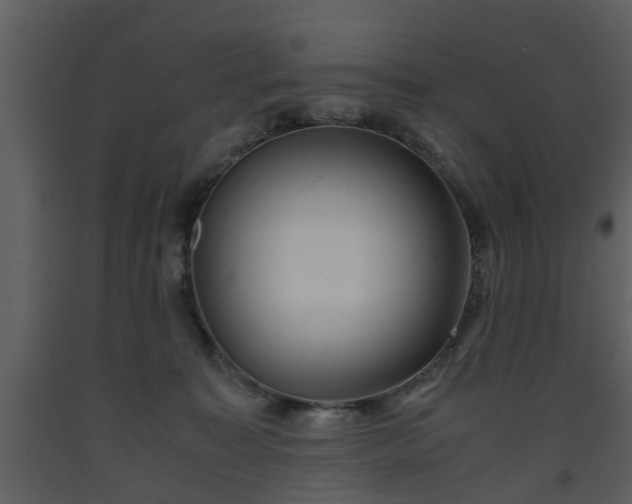 X0000093440323200710191046