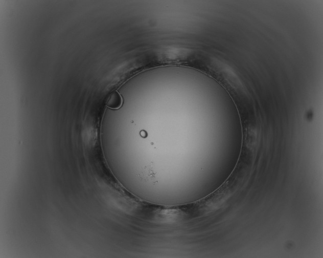 X0000093440324200710191046